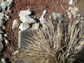 Shippy, Donald Lawrence gravesite