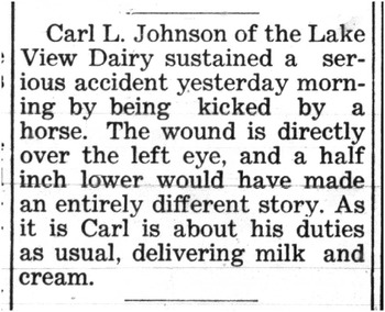 Johnson, Carl Leonard document